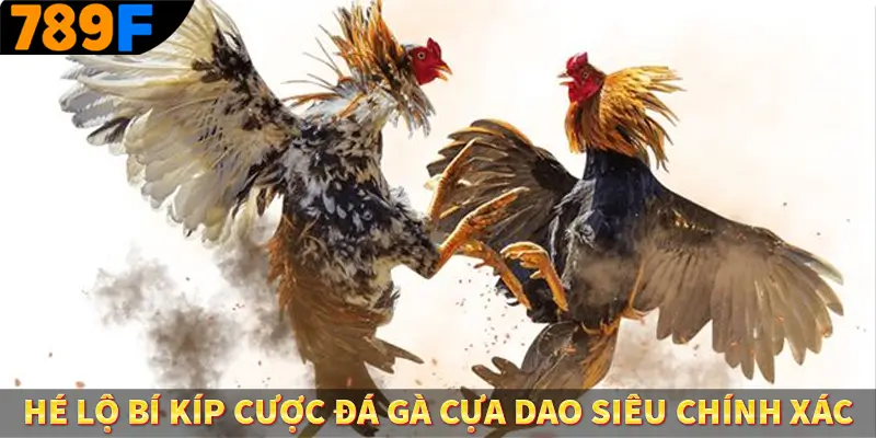 Luật Chơi Đá Gà - Quy Định Thiết Yếu Tại Trường Kê 789F 3 Hé lộ bí kíp cược đá gà cựa dao siêu chính xác