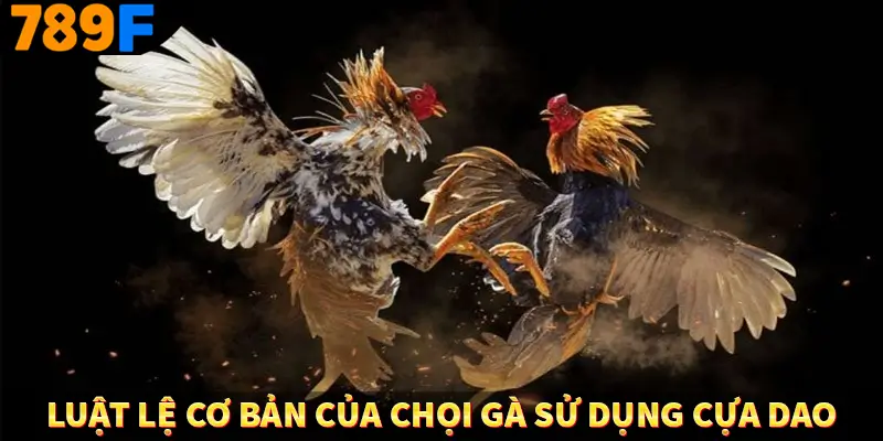 Luật Chơi Đá Gà - Quy Định Thiết Yếu Tại Trường Kê 789F 2 Luật lệ cơ bản của chọi gà sử dụng cựa dao
