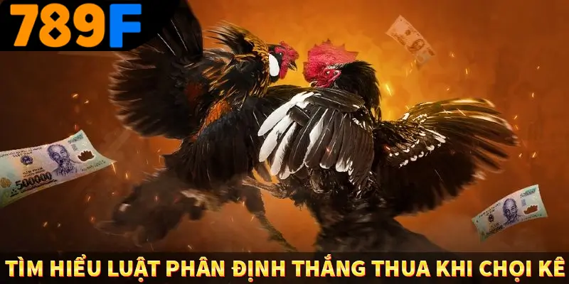 Đá Gà Cựa Dao - Màn So Găng Nảy Lửa Đầy Tốc Độ Tại 789F 3 Tìm hiểu luật phân định thắng thua khi chọi kê