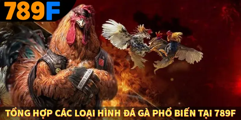 Tổng hợp các loại hình đá gà phổ biến tại 789F