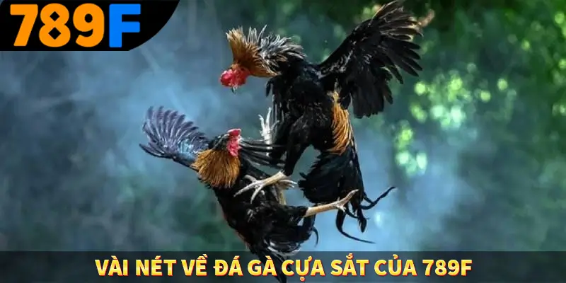 Đá Gà Cựa Dao - Màn So Găng Nảy Lửa Đầy Tốc Độ Tại 789F 1 Vài nét về đá gà cựa sắt của 789F